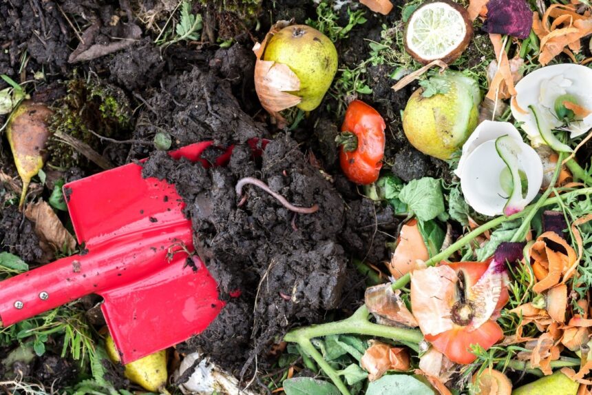 Daur Ulang Sampah Organik Menjadi Pupuk Kompos